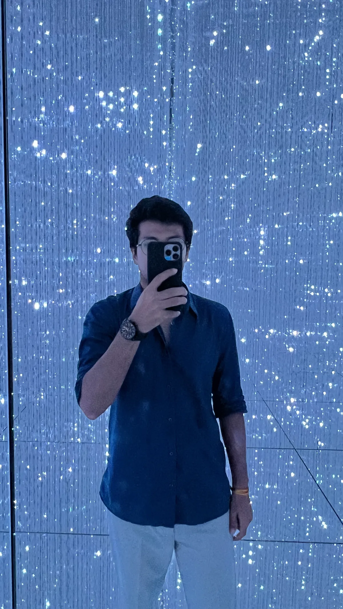 At the TeamLab Immersive Experience