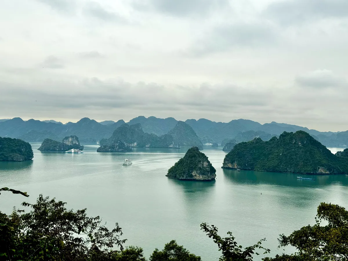 Ha Long Bay Cruise Guide: Day vs Overnight + Best Tours (2026)
